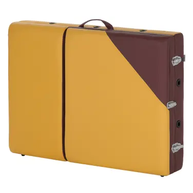 Раскладной массажный стол US-MEDICA Sakura